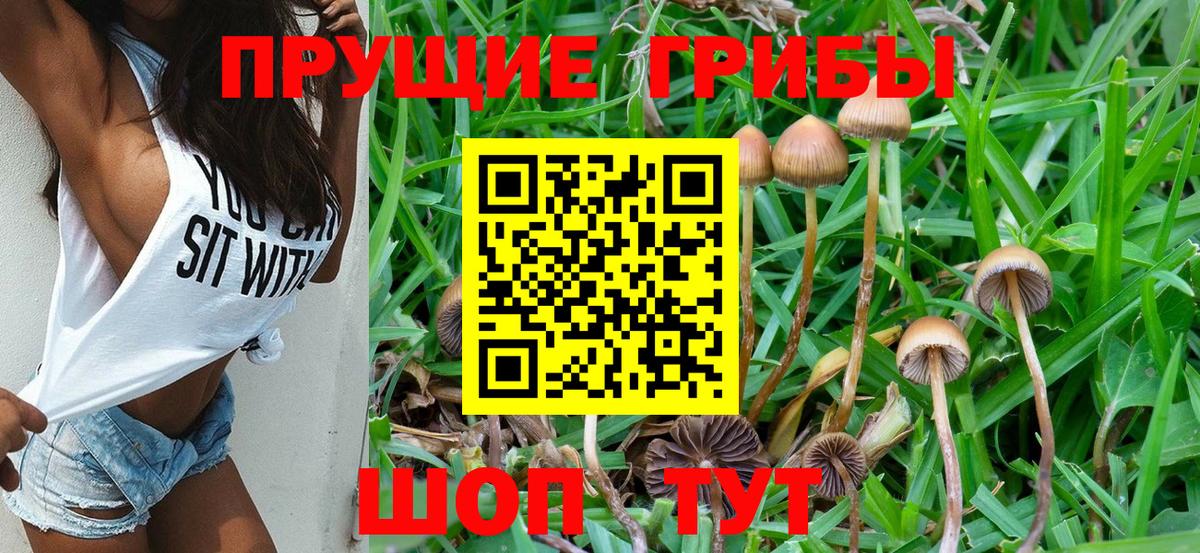 Галлюциногенные грибы мухоморы Балабаново