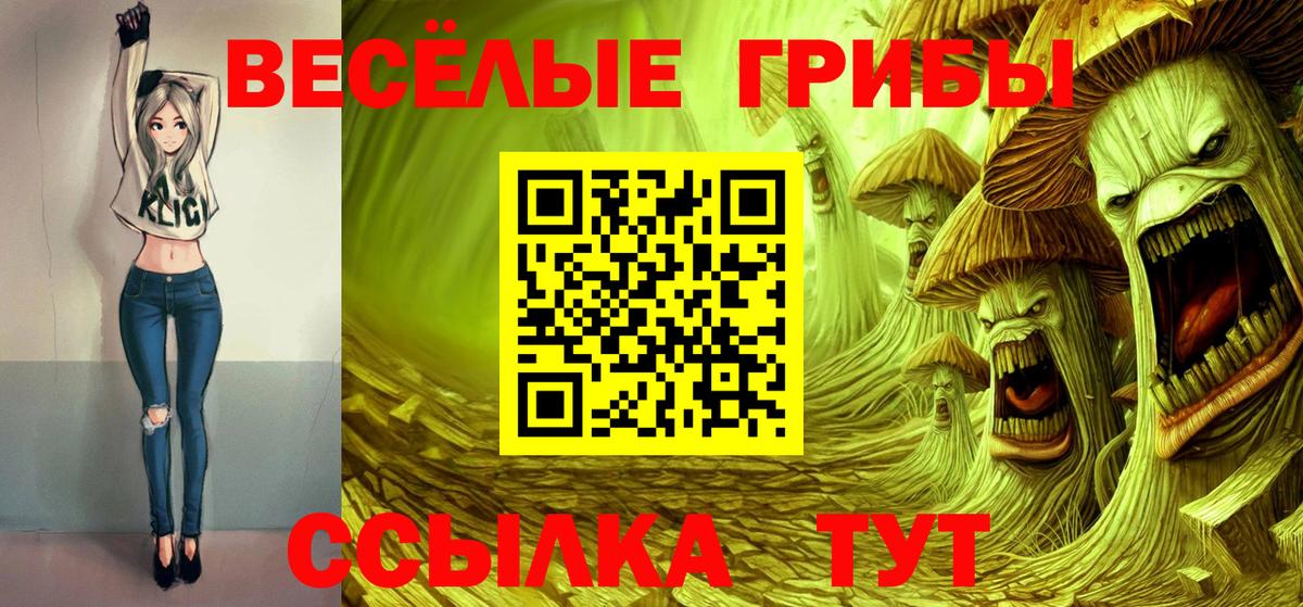 Галлюциногенные грибы Psilocybe  Вход с VPN  Балабаново 